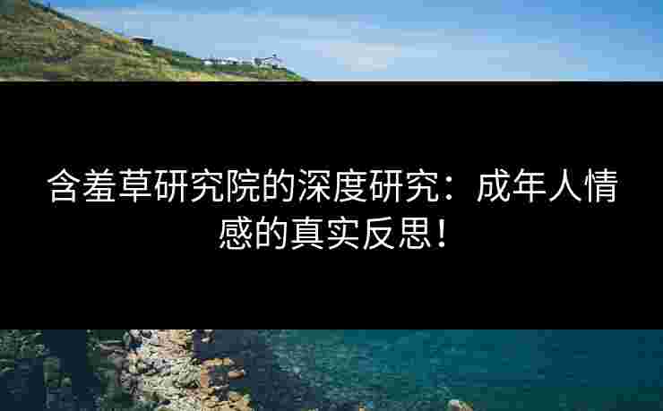 含羞草研究院的深度研究:成年人情感的真实反思!